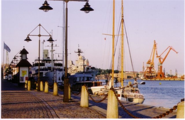 Photograph
